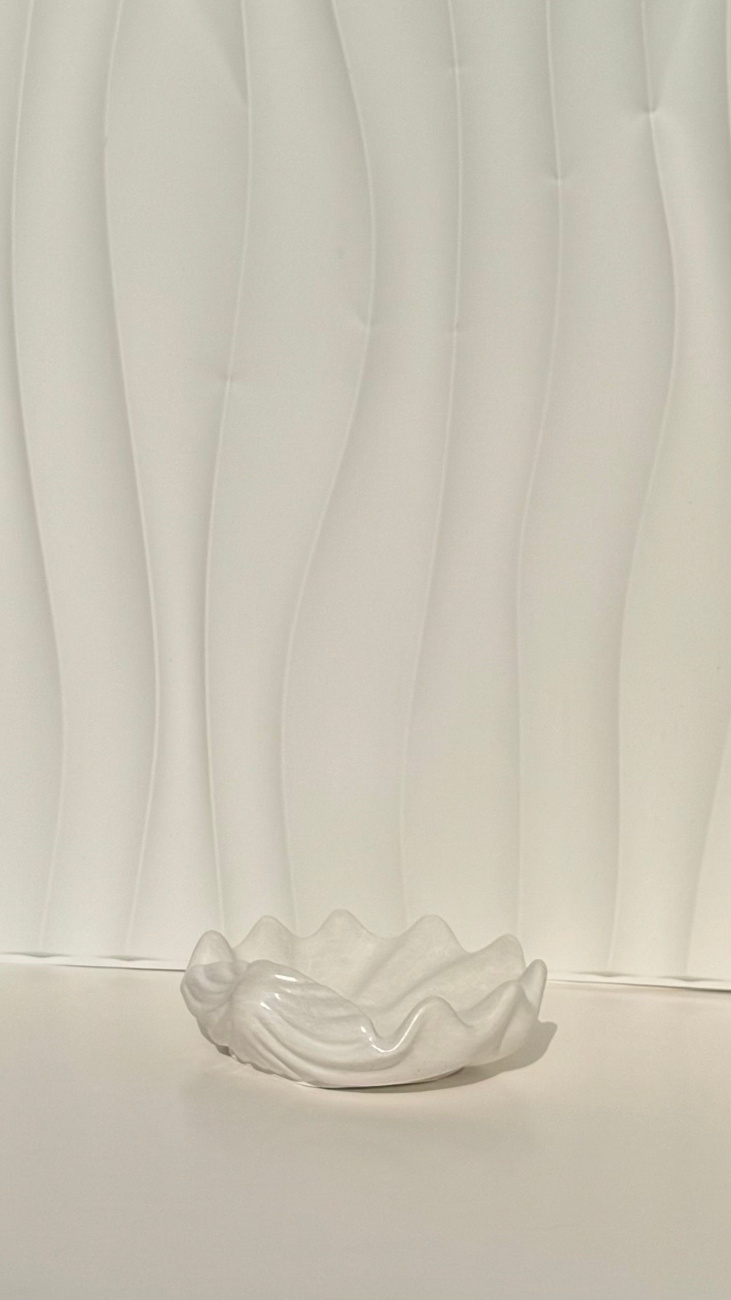 Shell Tray